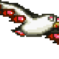 bird08.gif