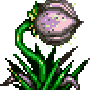 plant07.gif